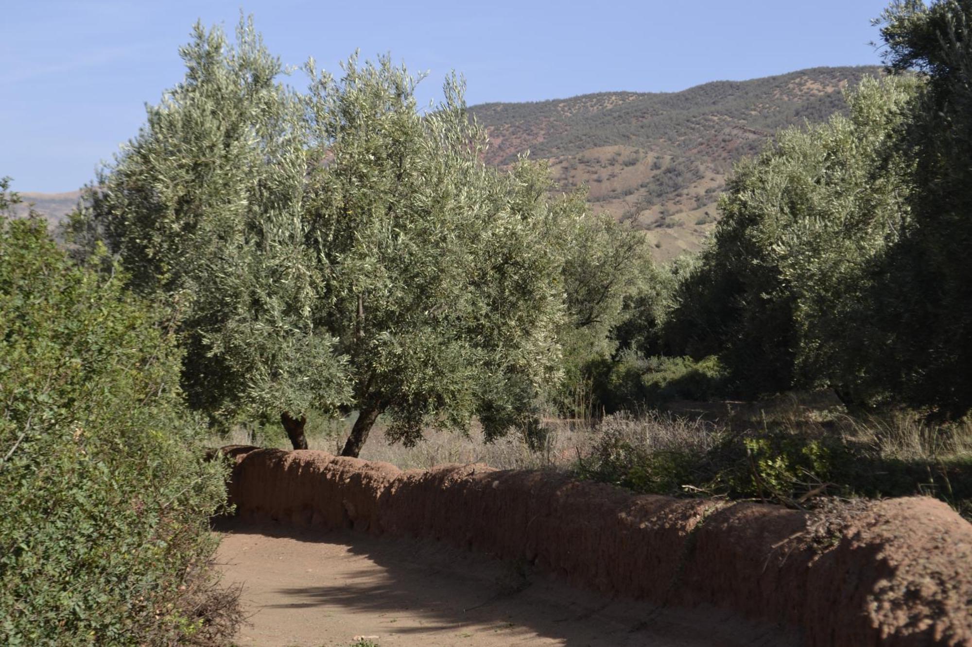 Villa Quince Ouirgane Exteriér fotografie